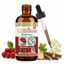 Rejuvica Health CardioVance - Hartondersteuning Supplement - vloeibare levering voor betere absorptie - Hawthorne, Hibiscus, Arjuna, Olive Leaf & Meer!