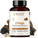 ROOTED Actives, Siberische Chaga Mushroom Extract, Certified Organic