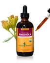 Herb Pharm Certified Biologische Rhodiola Root Extract voor energie, duurzaamheid en uithoudingsvermogen, Alcoholvrije Glycerite, 4 Ounce