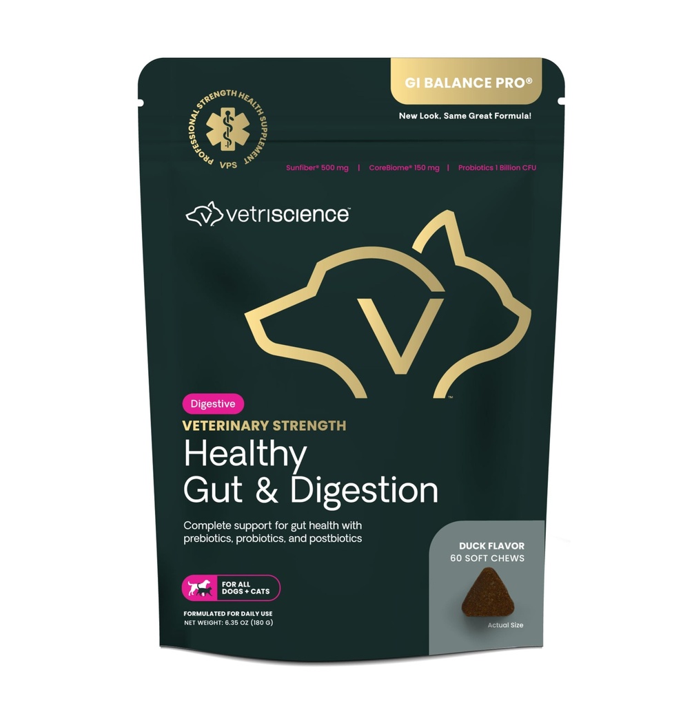 VetriScience Veterinary Strength Healthy Gut & Digestion - Supplément santé digestive pour les chats et les chiens - Gut Health & Immune Support - En vedette Probiotiques, prébiotiques et postbiotiques - 60 Compte