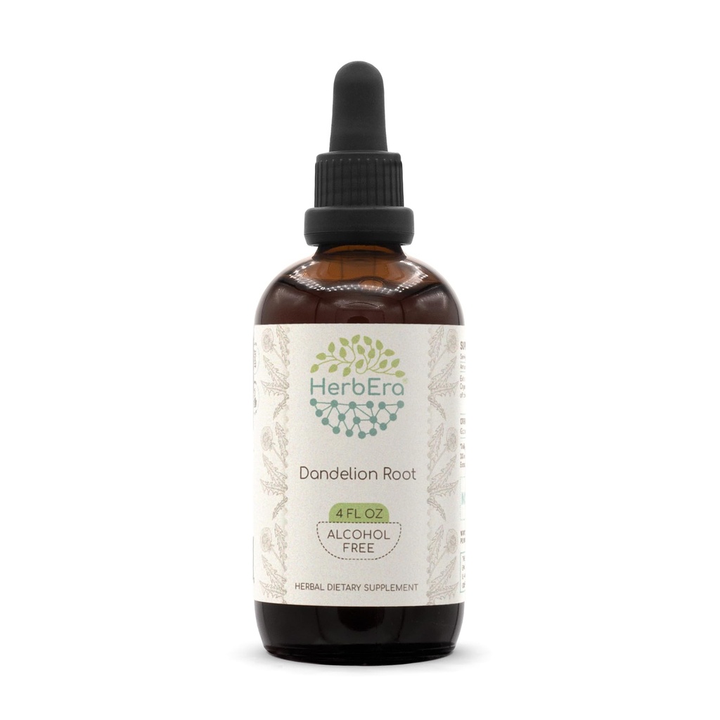 Racine de dandelion HerbEra B120 Teinture d'extrait de plantes sans alcool, dandelion super concentré (Taraxacum Officinale) Racine séchée (4 fl oz)