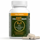 Vital Gut Health 4in1 Formule met Apple Cider Vinegar, Prebiotica & Probiotica, Digestieve Enzymen voor Sterke Immuniteit Ondersteuning en Complete Gut en Digestie Ondersteuning
