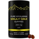 Shilajit Gummies Alpha Gummies voor mannen Getest I No Added Sugar 