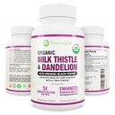 Max Absorptie USDA Biologische Melkdistel Potent 5:1 Geconcentreerd Extract (2000mg Kracht) & Biologische Dandelion Root 