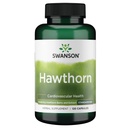 Swanson Hawthorn Extract (gestandaardiseerd) 250 Milligrammen 120 Capsules