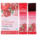 Rg+ Granaatappel Collageen Jelly(20gx14stick) / Anti-Ageing Koreaans-Schoonheid /360DA Marine Collageen +Vitamine C&E Ginseng Concentraat voor Immune Support, Huid, Haar, Nagel & Gezamenlijk (14)