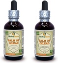 Balm Of Gilead (Populus candicans) Tincture, Organic Dried Buds Liquid Extract (Brand name: HerbalTerra, Proudly made in USA) 2x2 fl.oz (2x60 ml)