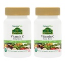 NaturesPlus Bron van Life Garden Vitamine C - 60 Vegan Capsules, Verpakking van 2 - Immuun Systeem Ondersteuning - Gecertificeerd Biologische, Non-GMO, Glutenvrij - 60 Totaal porties