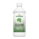 Dynamic Health Liquid Chlorofyl Peppermint 100 mg, Natrium Koper Chlorofylen met Alfalfa en Mulberry bladeren, Plant Cleanse en Deodoriseren, Geen toegevoegde suiker, 16 Fl Oz