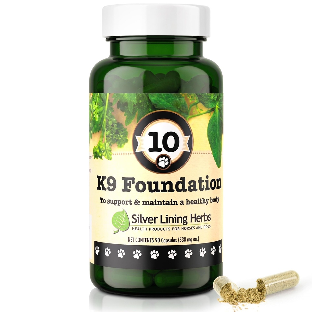 Silver Lining Herbs Overall Dog Health Supplements 10 K9 Foundation - Suppléments de canine naturels pour chiens foie, reins, digestion, vitalité et système immunitaire Support pour chiens - 90 capsules