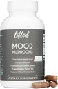 Mood Paddestoelen - Lifted Paddestoelen Supplement - Lion's Mane, Reishi, Chaga, Turkije Tail, Maitake - Energie, Focus, Stress Relief