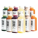 JRINK by Purée Intermediate Juice Cleanse, Cold Pressed Detox Drink met biologische 2 dag-gezonde groente-en fruitsap, bevroren Gepersed Juice Cleanse, 12 flessen, 16oz Elke