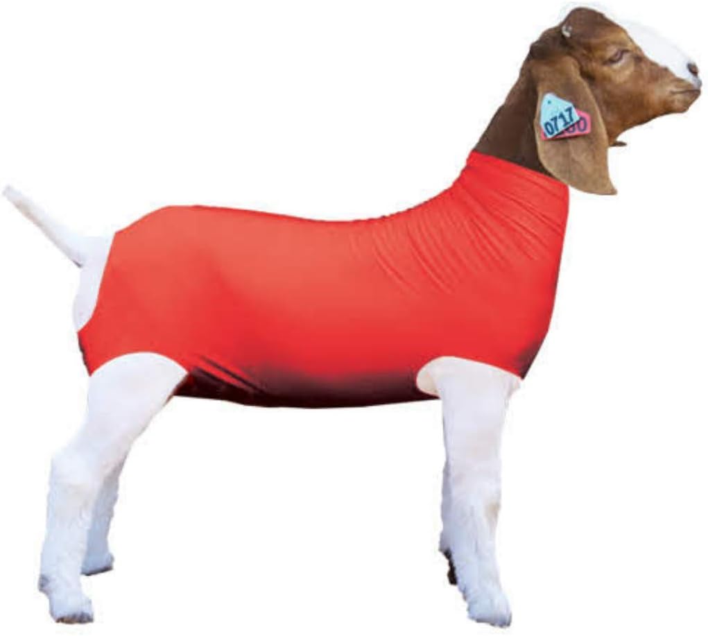 Toon Pro Red Spandex Geit Tube voor show geiten - Toon vee voorraden: Geiten Covers & Dekens