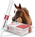 Jaguar diergezondheidsveulen - Equine supplement Plakken voor de ondersteuning van goede hydratatie en Bowel Health - Plant-based product voor voorgeweande veulens (30 ml)