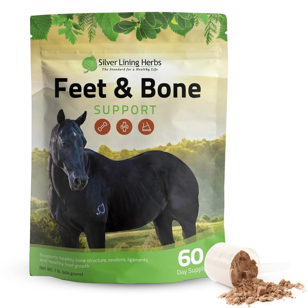 Silver Lining Herbs Voeten en bot ondersteuning Horse Supplement Powder Natural Tendons, ligamenten en rondgaande weefsels en hoefsupplement voor paarden - Normale Limbs Circulatie Horse Care Supplies - 1 LB