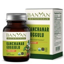Banyan Botanicals Kanchanar Guggulu Comprimés – Supplément lymphatique biologique avec résine de Guggulu – Promotion de l'élimination saine des toxines naturelles* – 90 comprimés – Vegan non-OGM