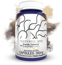Nootropics Depot Boswellia Phytosome Capsules de 350mg de casperome de 25% Acides triterpénoïques de Boswellia serrata de l'encens de FrankInense de la santé articulaire de 30 Nombre