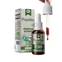 Beelife Propoflex Organic Green Propolis Extract - High Artepillin-C Levels, Antioxidant-Rich Supplement for All Wellness - Natural & Kosher-Friendly Dietary Supplement - Made In Brazil, 1 Fl. Oz.