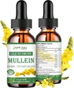 Mullein Drops for Longs, Powerful Long Cleanse Detox for Rooker, Organic Mullein and Chlorofyl Drops for Longs, Mullein Leaf Extract for Lung & Bronchia, Respiratory Health, Immune Boost 2 FL/OZ
