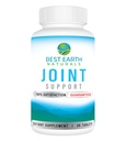 Meilleur soutien de joint Earth Naturals - Glucosamine, Chondroïtine, MSM et vitamines et nutriments spéciaux pour le dos, la hanche et le soutien de joint - supplément de joint pour les articulations, le muscle et la flexibilité 30 jours