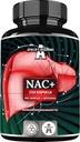 APOLLO'S HEGEMONY NAC + 600 mg - N-Acetyl L-Cysteine en Artichoke Extract, 250 Vegan Capsules, 8 maanden levering, Aminozuur Dieetsupplement ter ondersteuning van lever- en spijsverteringstrekfuncties