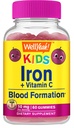 WellYeah Iron Gummies voor kinderen met vitamine C - Anemie Ondersteuning, Red Blood Cell vorming, Energie, en Immunity Ondersteuning Gummy, Iron Supplements voor kinderen - GGO-vrij, natuurlijke druiven smaak - 60 Tellen