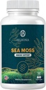 Gummées de mousse de mer — Immune Force et santé de la peau, Ours de mousse de mousse biologique, 60 Comte, Vegan, Superfood Supplément à croquer pour l'endurance et la santé