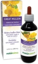 Naturalma Great Mullein of Common Mullein (Verbascum thapsus) Bloem en blad Alcoholvrije Tinctuur - 6,76 fl oz Liquid Extract in druppels - Kruidensupplement - Veganistisch