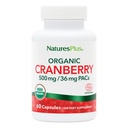 NaturesPlus Biologische Cranberry 500 mg - 60 Capsules - Helpt bevorderen gezonde urinetrek - USDA Certified Organic, Vegan, Gluten Free, Non-GMO - 30 Servers