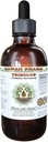 Tribulus sans alcool extrait liquide, Tribulus (Tribulus Terrestris) Fruits séchés Glycérite supplément à base de plantes naturelles, Hawaii Pharm, États-Unis 2 fl.oz