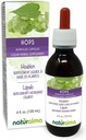 Naturalma Hop (Humulus lupulus) strobilus of Cone (female bloemen) Alcoholvrije tinctuur - 4 fl oz Liquid Extract in druppels - Kruidensupplement - Veganistisch