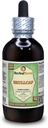 Crâne (Scutellaria Lateriflora) Glycérite, extrait liquide sans alcool à base d'herbe séchée biologique (marque : HerbalTerra, fièrement fabriqué aux États-Unis) 4 fl.oz (120 ml)