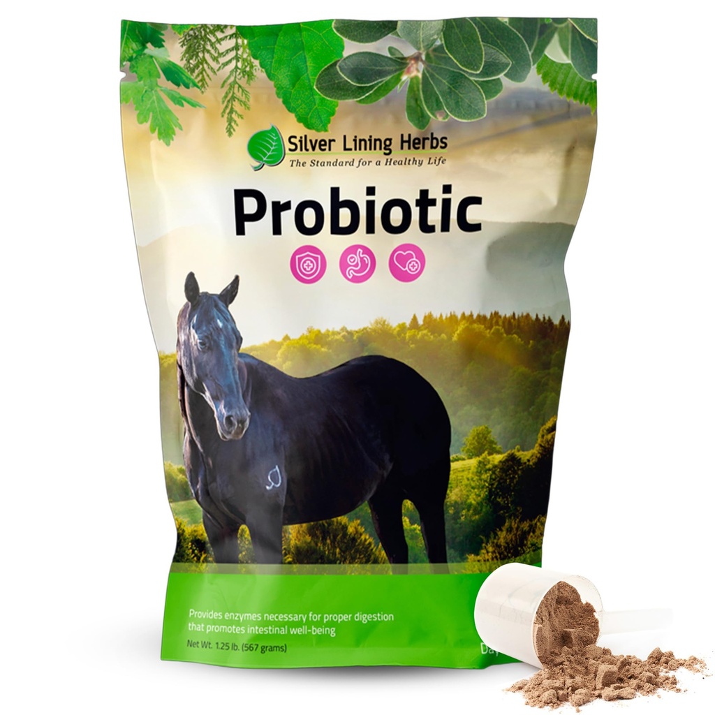 Silver Lining Herbs Horse Probiotics Digestieve Supplementen - Digestieve Enzyme & Gut Health Probiotische Supplement voor Paarden - Bevat 13,2 Miljard CFU Probiotische Strains - 1,25 lb 60-dagen
