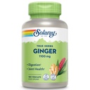 SOLARAY Ginger Root Capsules for Men & Women - Ginger Supplement for Dispensive Health Support, 1100 mg per Serving, Motion & Stomach Discomfort Support, Vegan Herb, Sun Grown, Whole Root- 180 Veg Caps