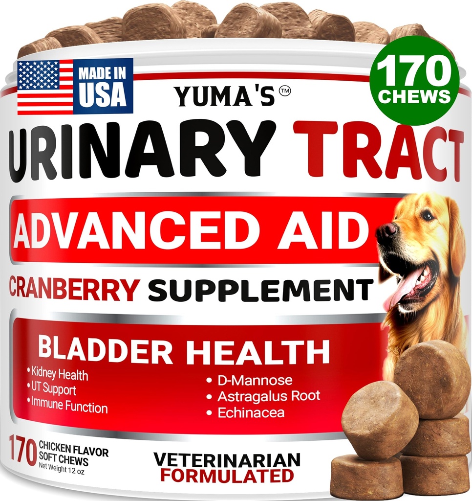 Hond UTI behandeling - 170 Treats - Cranberry Supplement voor honden - Bladder controle - Urinetrakt infectie behandeling - UTI Geneeskunde Multivitamine - Vitaminen en Supplementen - Made in USA