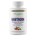 Paradise Kruiden Hawthorn Berry, Active Whole Spectrum Extract, Super Potent, Ultra Pure, Vegan, Non-GMO, Glutenvrij, 60 Vegetarische Capsules