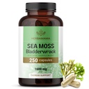 HerbAMAMA Irish Sea Moss Capsules - 1600mg Sea Moss and Bladderwrack pour le soutien immunitaire - Vegan, Supplément d'immunité non-OGM pour le soutien global