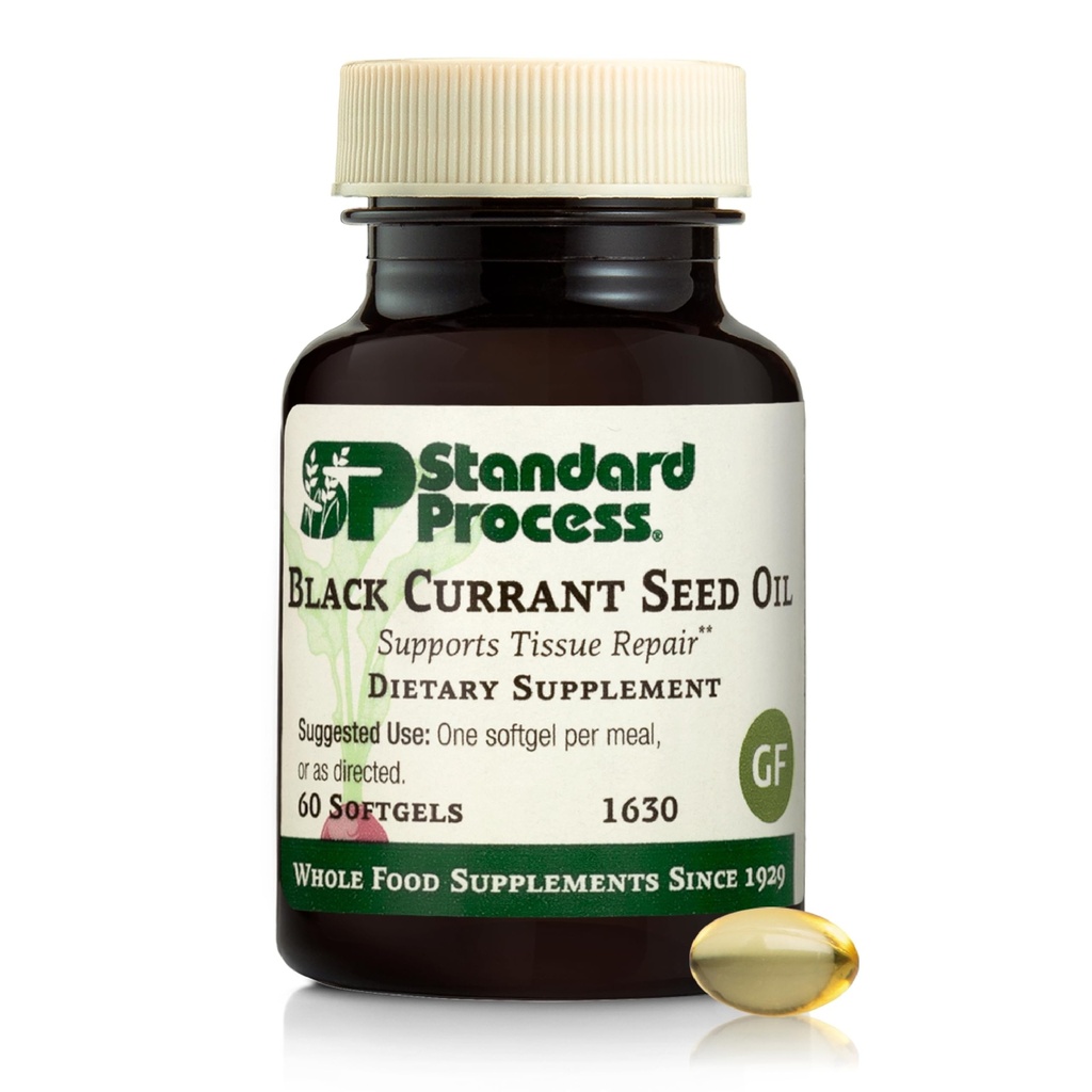 Standard Process Black Currant Seed Oil - Support Blood Flow & Health - Aids Healthy Immune System Function - Natural Tissue Care - Glutenvrije - 60 Softgels (60 Servings)