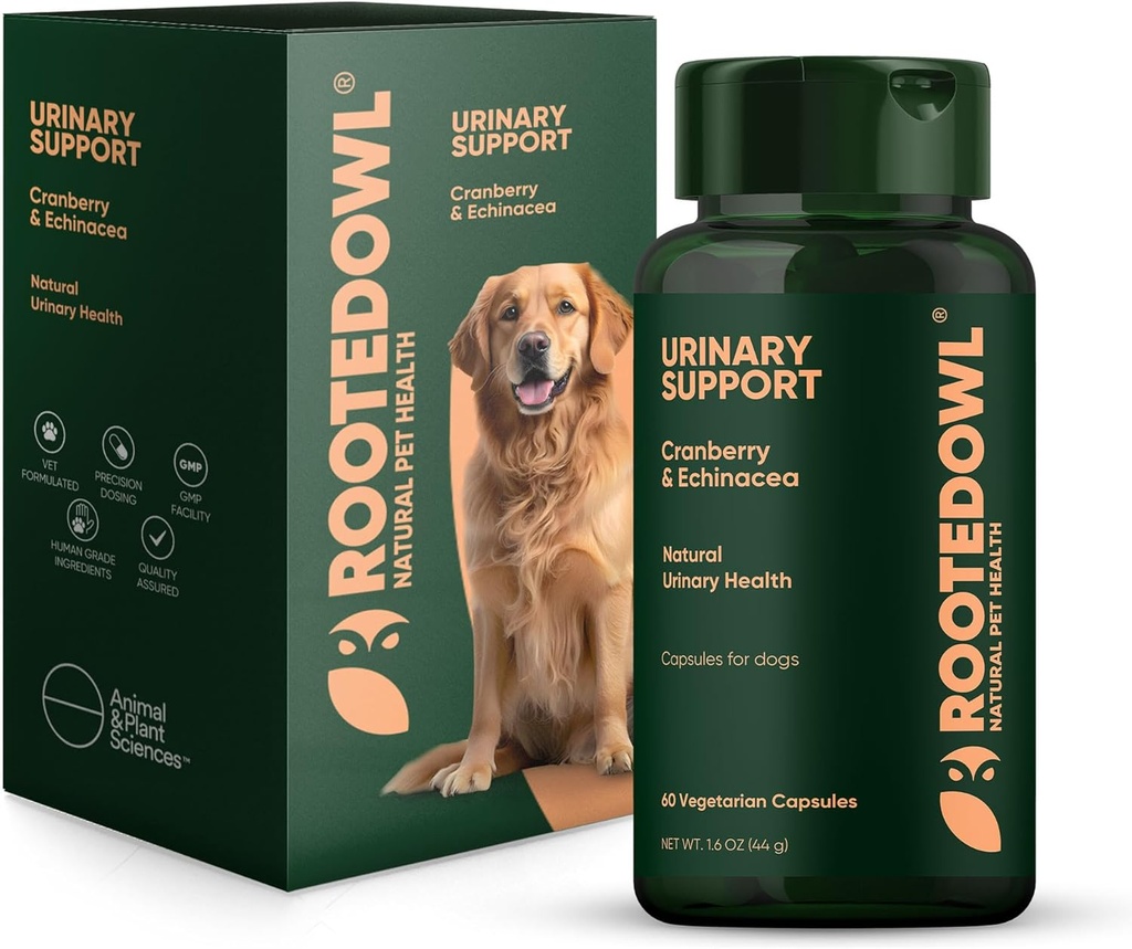 Soutien urinaire à la Chouette à racines - Supplément d'échinacée et de canneberge pour chiens - Prévention de l'ITU chez les chiens - 60/ct