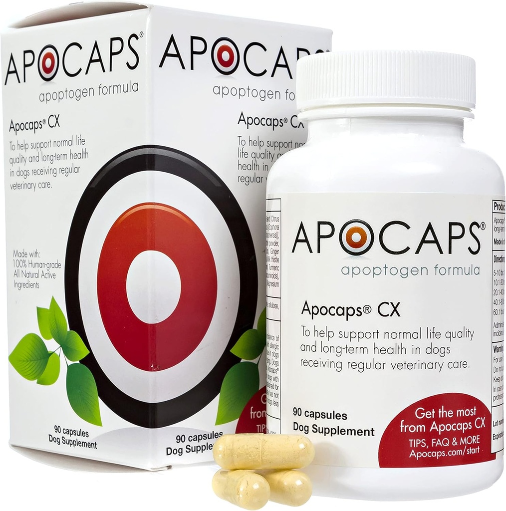 Apocaps CX Apoptogen Formula for Dogs (90 Capsules) - Ondersteunt normale niveaus van apoptosis + Human Grade Ingrediënten Inclusief Citrus Bioflavonoïden, Silymarin, Curcumin en Kurkuma + Biovadex