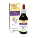 Naturalma Ginger (Zingiber officinalis) Rhizome Teinture sans alcool - 4 fl oz extrait liquide dans les gouttes - supplément à base de plantes - végétalien