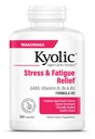 Kyolic Aged Knoflook Extract Formule 101, Stress en vermoeidheid Relief, 300 capsules.