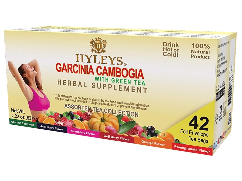 HYLEYS Thee Garcinia Cambogia Groene Thee met diverse smaken - 42 Theezakjes (12 Pack - 504 Theezakjes Totaal)
