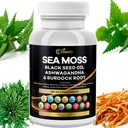 Sea Moss 3000mg Black Seed Oil 2000mg Ashwagandha 1000mg Bladderwrack 1000mg Kurkuma 1000mg Burdock 1000mg Vitamine C & D3 Vlierberry Manuka Dandelion Yellow Dock Chlorofyll ACV