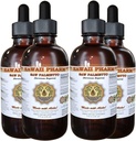 Saw Palmetto Liquid Extract, Organic Saw Palmetto (Serenoa Repens) Tinctuur, Kruidensupplement, Hawaii Pharm, Made in USA, 4x4 fl.oz