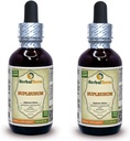 Bupleurum (Bupleurum chinense) Teinture, extrait liquide de racine séchée biologique (marque : HerbalTerra, fièrement fabriqué aux États-Unis) 2x2 fl.oz (2x60 ml)