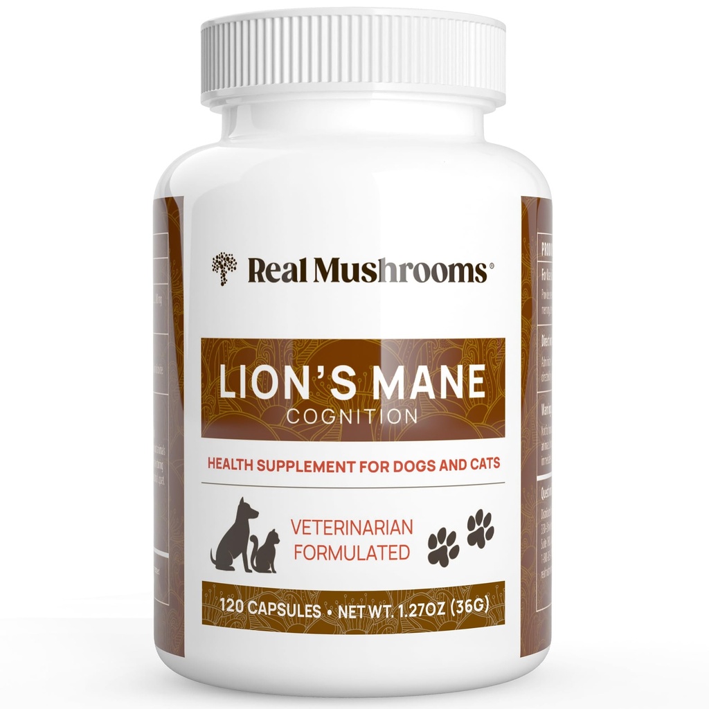 Echt zonder Leeuwen Mane Pet Paddestoel Supplement 