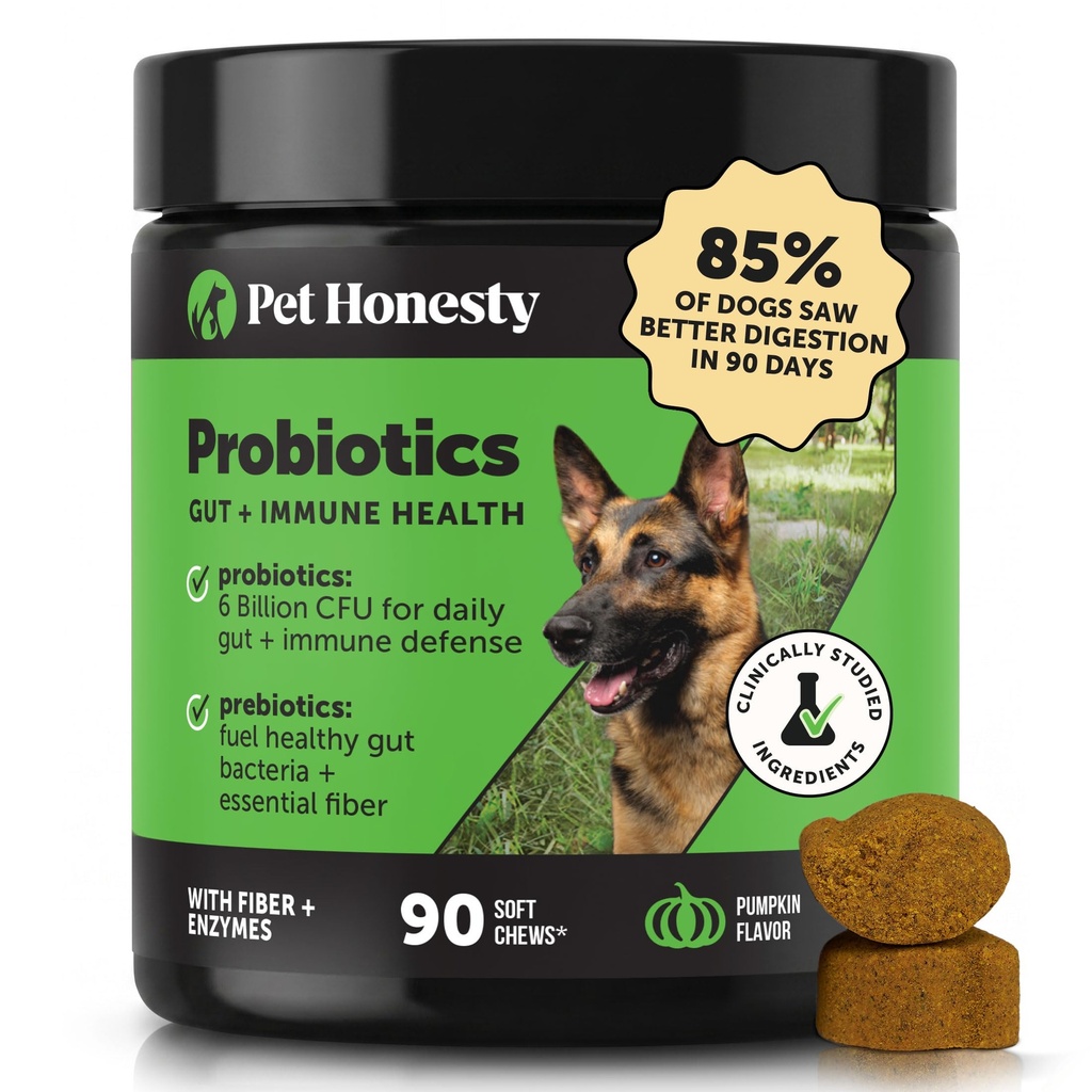 Animaux de compagnie Honnêteté Probiotiques pour chiens pour le soutien occasionnel de la diarrhée et du bowel, enzymes digestives avec prébiotiques pour la santé des chiens Gut, Immunity Health & Ditch Relief (Pumpkin 90 ct)