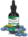 Natures Answer's Alcool-Free Blueberry Fruit 1000mg 2oz Extrait de l'Œil et de la Vision Support de l'Œil à haute teneur en antioxydants Promote la circulation sanguine Soulage les yeux rouges et démangeaisons
