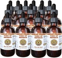 Shiitake, Maitake, Cordiceps, Reishi Extrait liquide, Shiitake séché biologique, Maitake, Cordiceps, Teinture Reishi, Supplément à base de plantes, Hawaii Pharm, Fabriqué aux États-Unis, 15x4 fl.oz